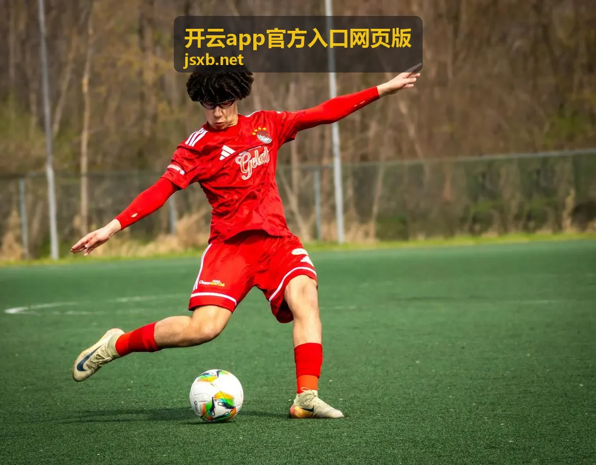 开云app官方入口网页版的入口核对与功能说明页面展示