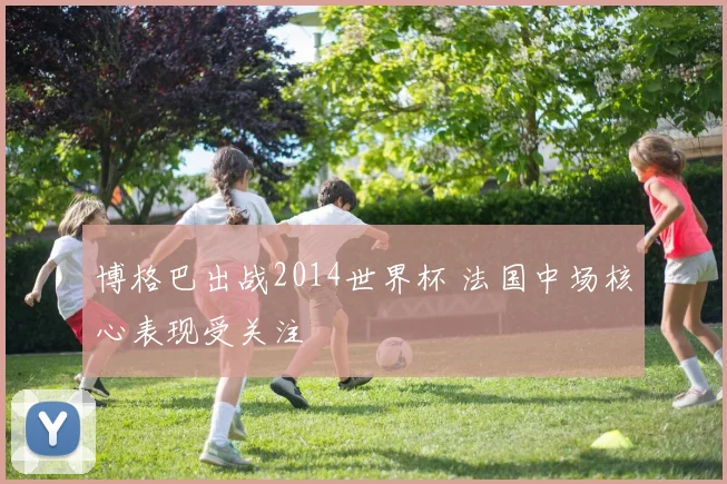 博格巴出战2014世界杯 法国中场核心表现受关注